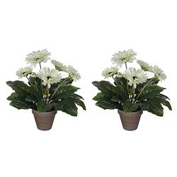 Foto van 2x stuks gerbera kunstplanten wit in keramiek pot h35 cm - kunstplanten