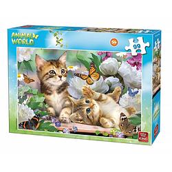 Foto van King legpuzzel animal world kittens 99 stukjes