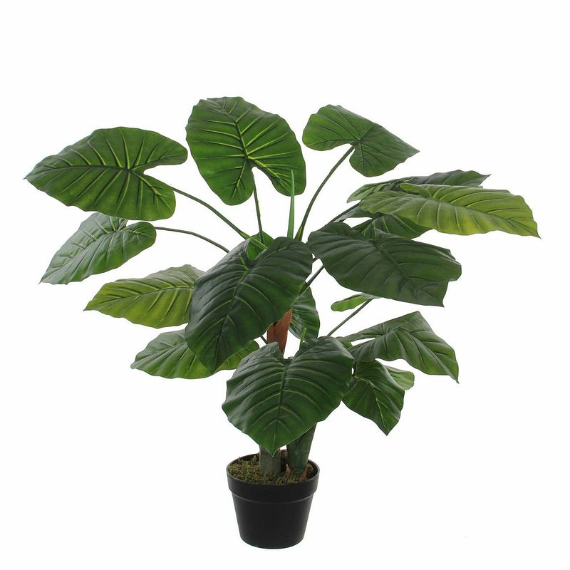 Foto van Groene kunstplant colocasia taro succulent plant in pot - kunstplanten