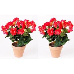 Foto van 2x kunstplanten begonia roze 30 cm - kunstplanten