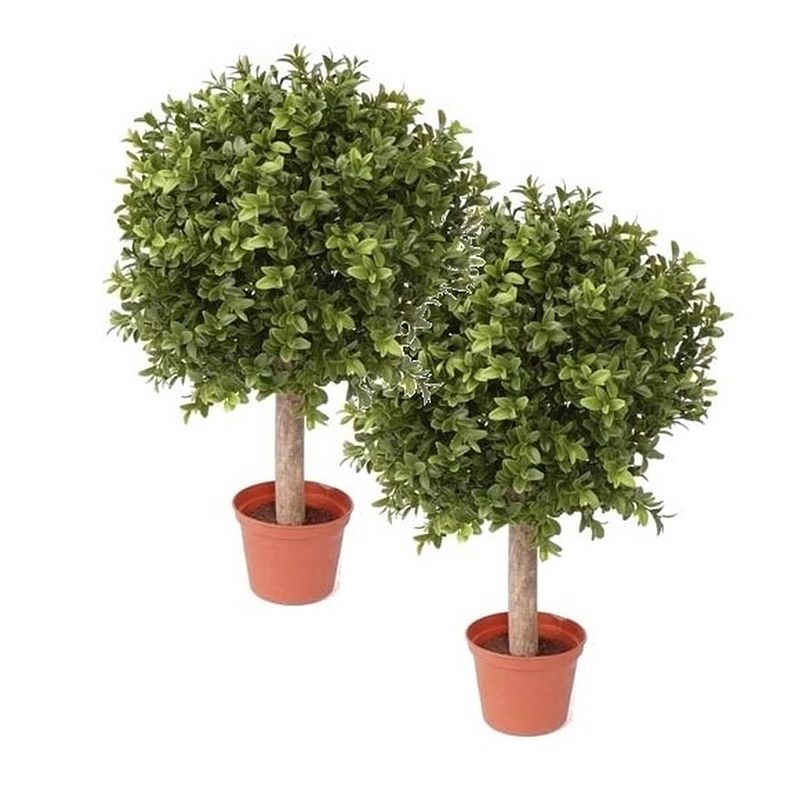 Foto van 2x buxus bol kunstplant op stam in pot 35 cm - kunstplanten/nepplanten