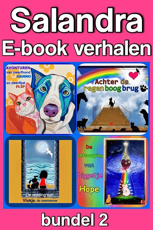 Foto van Salandra e-book verhalen - sandra koole - ebook (9789462175198)