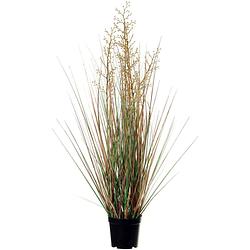 Foto van Louis maes quality kunstplant - siergras met bes - groen/bruin - h75 cm - in pot - kunstplanten