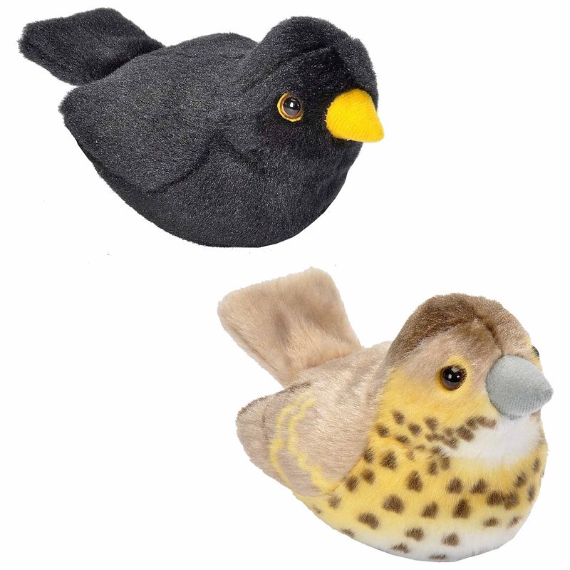 Foto van Set van 2x stuks pluche vogels knuffels van 14 cm met geluid - vogel knuffels