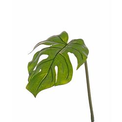 Foto van Kunstplant monstera bladgroen tak 55 cm - kunstplanten