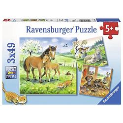Foto van Ravensburger puzzel knuffeltijd - 3 x 49 stukjes