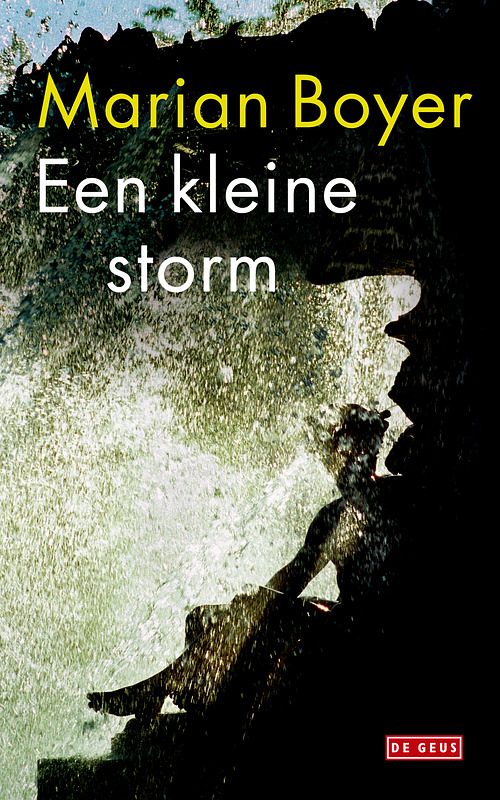 Foto van Een kleine storm - marian boyer - ebook (9789044519525)