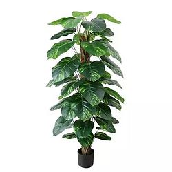 Foto van Dieffenbachia 152 cm kunstplant