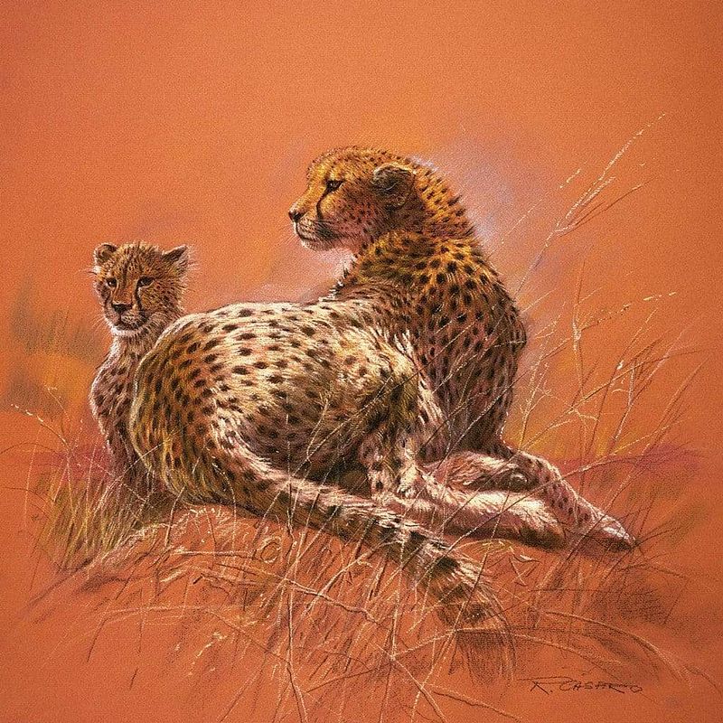 Foto van Renato casaro - cheetah mother kunstdruk 50x50cm