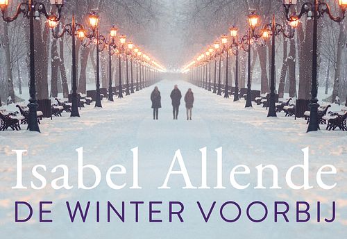 Foto van De winter voorbij - isabel allende - dwarsligger (9789049808242)