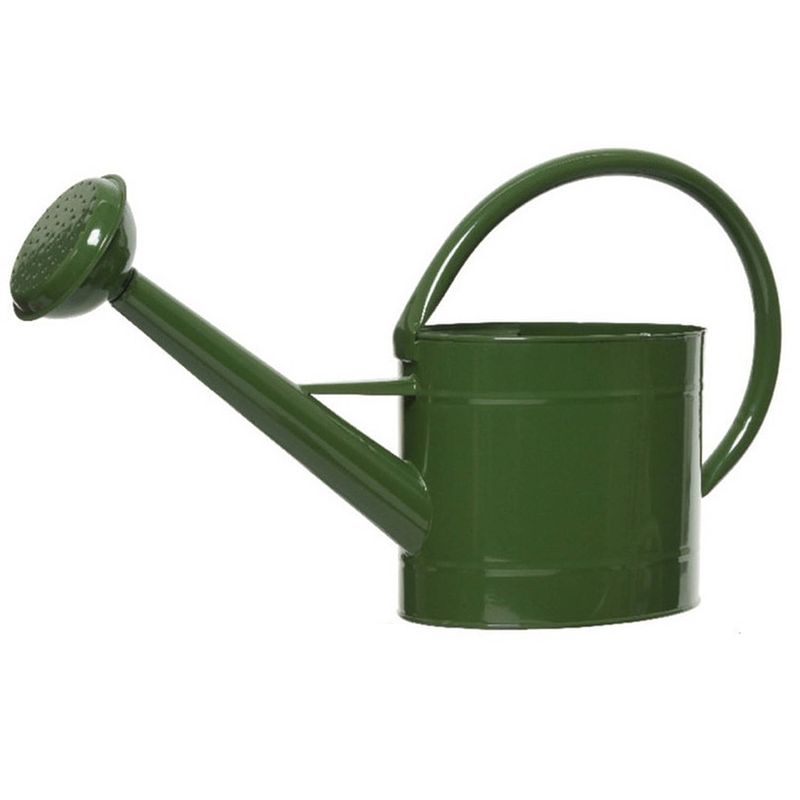 Foto van Donkergroene zinken tuinbewatering/kamerplanten gieters 5 liter - gieters