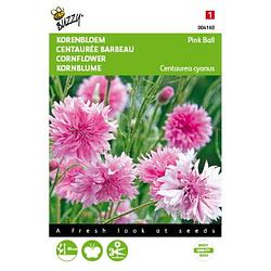 Foto van 5 stuks centaurea cyanus pink ball tuinplus