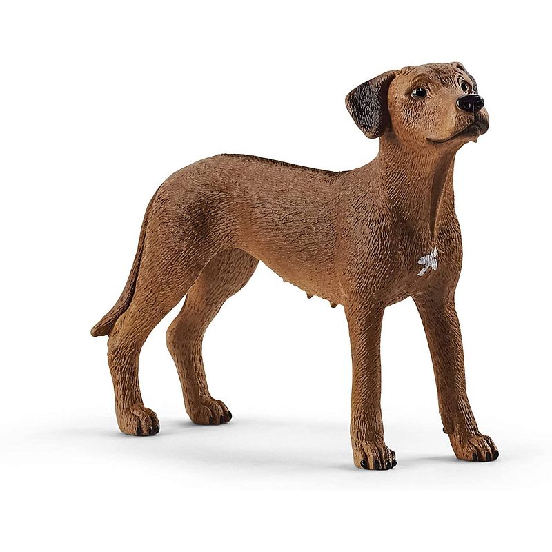 Foto van Schleich boerderij - rhodesian ridgeback 13895