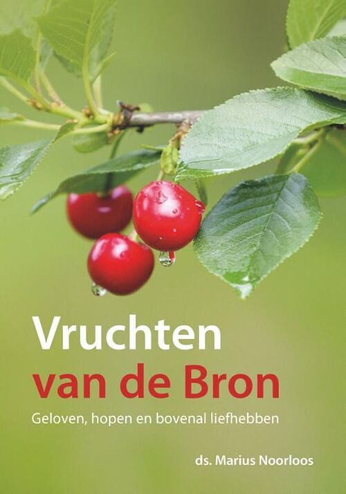 Foto van Vruchten van de bron - marius noorloos - ebook (9789043532679)