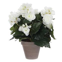 Foto van Witte begonia kunstplant met bloemen 30 cm in grijze pot - kunstplanten/nepplanten - voor binnen