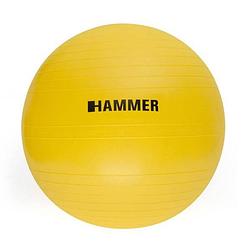 Foto van Hammer fitness - fitnessbal - ø 55 cm - geel
