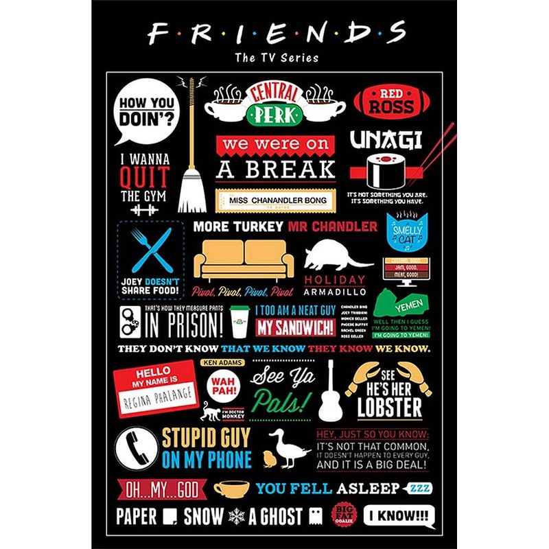 Foto van Pyramid friends infographic poster 61x91,5cm