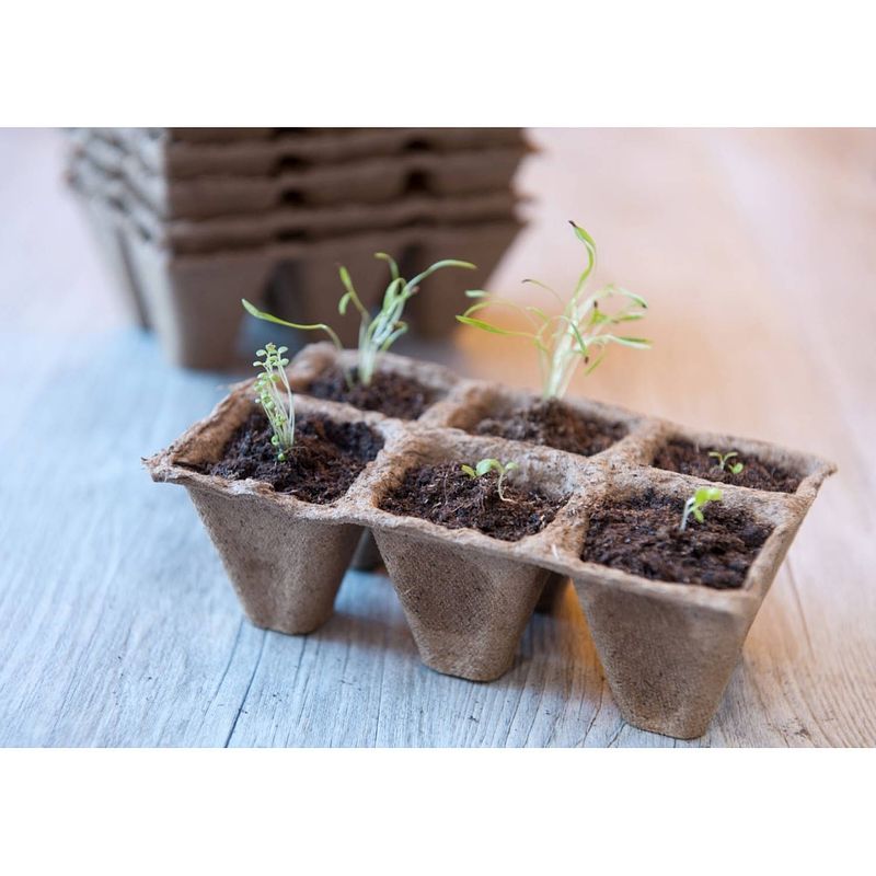 Foto van 2 stuks turfpottrays h5x5x5cm set a 10 trays van 6 stuks nature