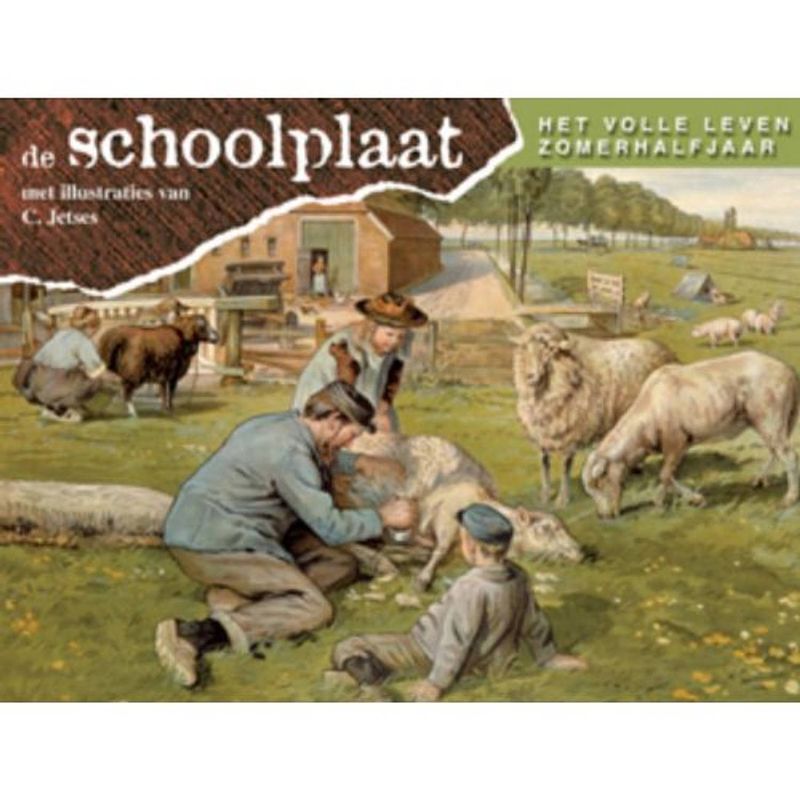 Foto van Schoolplaat het volle leven zomerhalfjaar