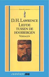 Foto van Liefde tussen de hooibergen - d.h. lawrence - ebook (9789000331277)