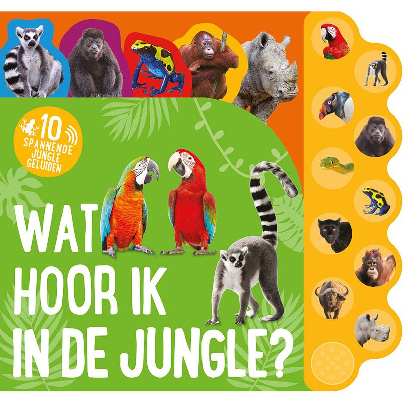 Foto van Rebo productions geluidenboek wat hoor ik in de jungle? junior