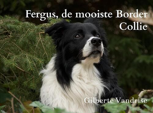 Foto van Fergus, de mooiste border collie - gilberte vandrise - paperback (9789464058383)