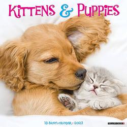 Foto van Kittens and puppies kalender 2023