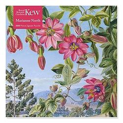 Foto van Adult jigsaw puzzle kew: marianne north: view in the brisbane botanic garden (500 pieces) - puzzel;puzzel (9781839644344)
