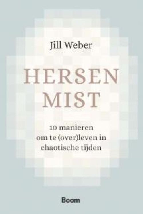 Foto van Hersenmist - jill weber - ebook