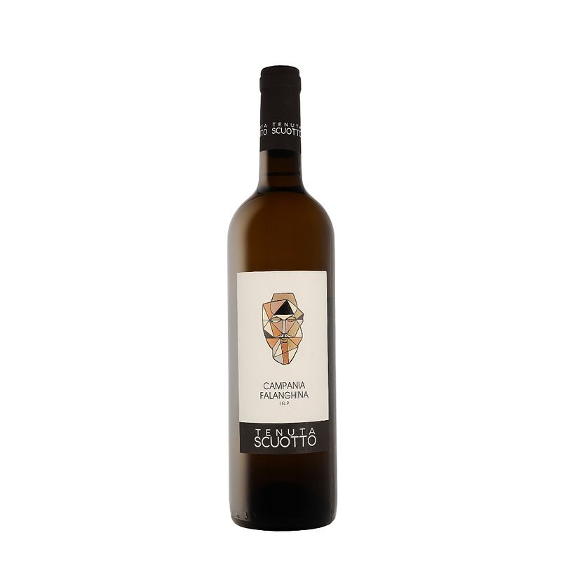 Foto van Tenuta scuotto falanghina 2022 75cl premium