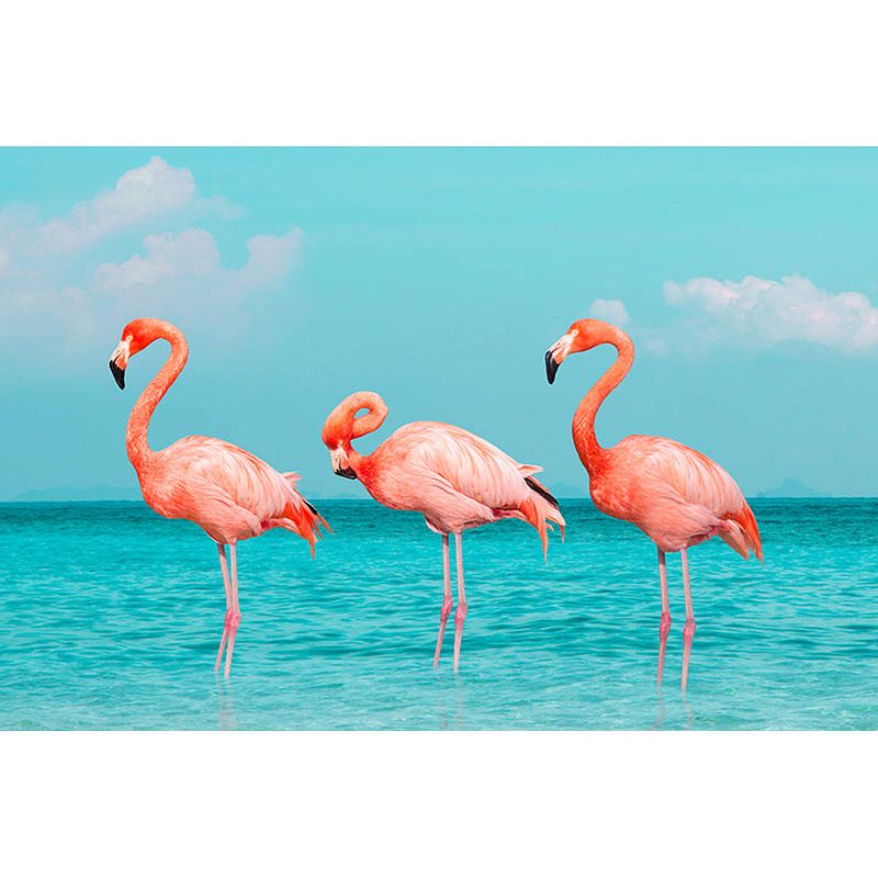 Foto van Inductiebeschermer - drie flamingo'ss - 76x51.5 cm