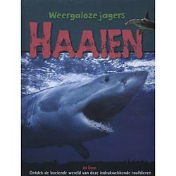 Foto van Haaien - weergaloze jagers