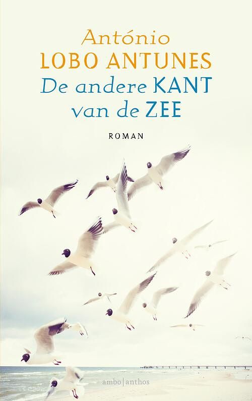 Foto van De andere kant van de zee - antónio lobo antunes - ebook (9789026352171)