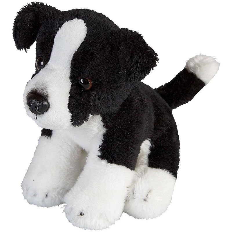 Foto van Pluche knuffel dieren border collie hond van 15 cm - knuffel huisdieren