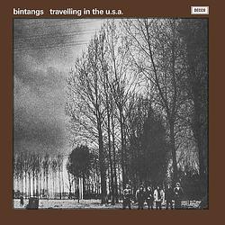 Foto van Travelling in the usa - lp (8719262019867)