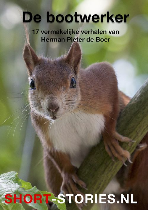 Foto van De bootwerker - herman pieter de boer - ebook (9789464491876)