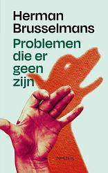 Foto van Problemen die er geen zijn - herman brusselmans - ebook (9789044650297)