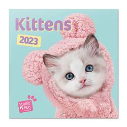 Foto van Kittens kalender 2023