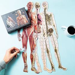 Foto van Menselijke anatomie puzzel (303 stukjes)