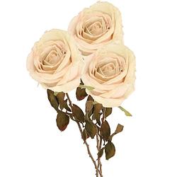Foto van Top art kunstbloem roos calista - 3x - wit creme - 66 cm - kunststof steel - decoratie bloemen - kunstbloemen