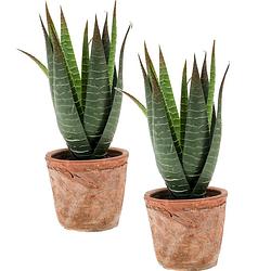 Foto van Set van 2x stuks aloe vera kunstplanten in terracotta pot 23 cm - kunstplanten