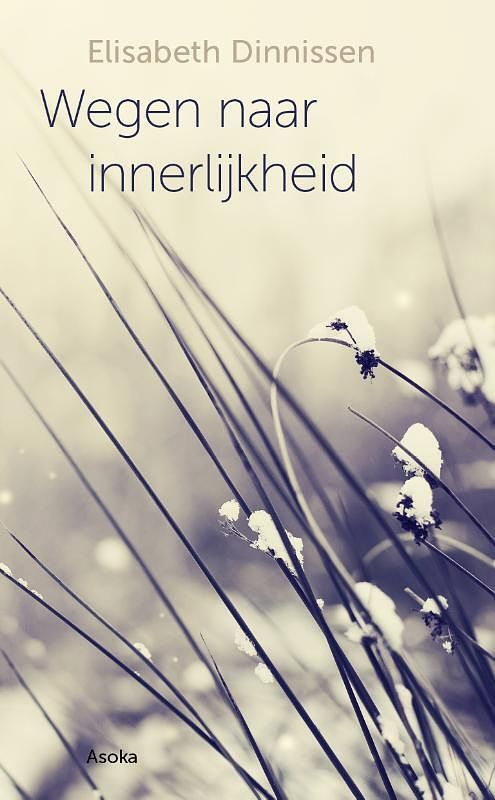 Foto van Wegen naar innerlijkheid - elisabeth dinnissen - paperback (9789056704117)