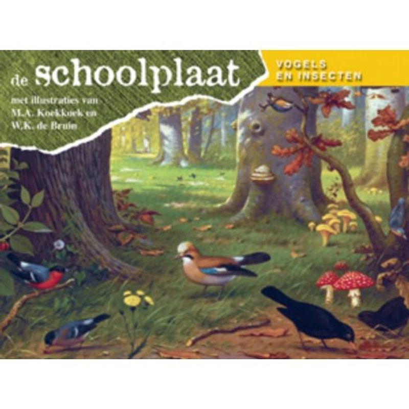 Foto van De schoolplaat / vogels en insecten