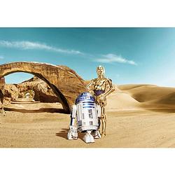 Foto van Komar star wars lost droids fotobehang 368x254cm 8-delen