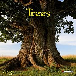 Foto van Trees kalender 2023