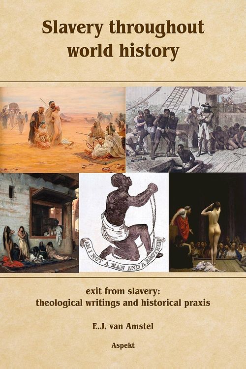 Foto van Slavery throughout world history - e.j. van amstel - ebook