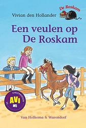 Foto van Een veulen op de roskam - vivian den hollander - ebook (9789000317554)