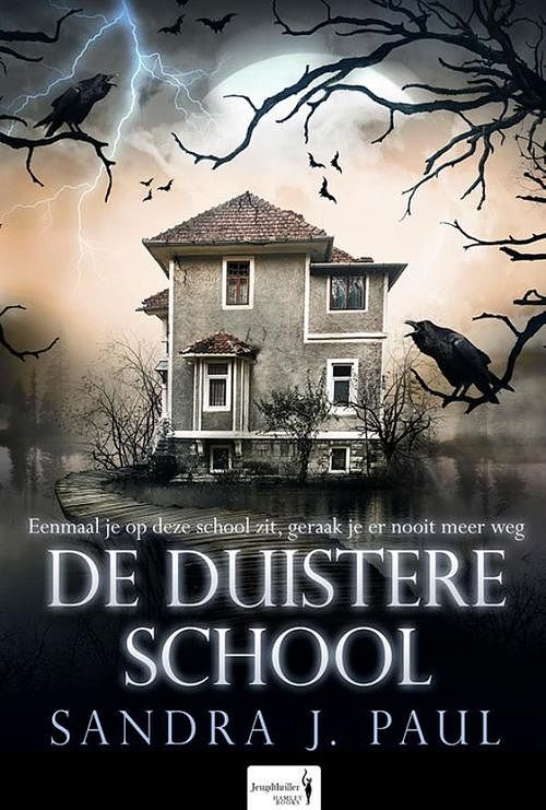 Foto van De duistere school - sandra j. paul - ebook