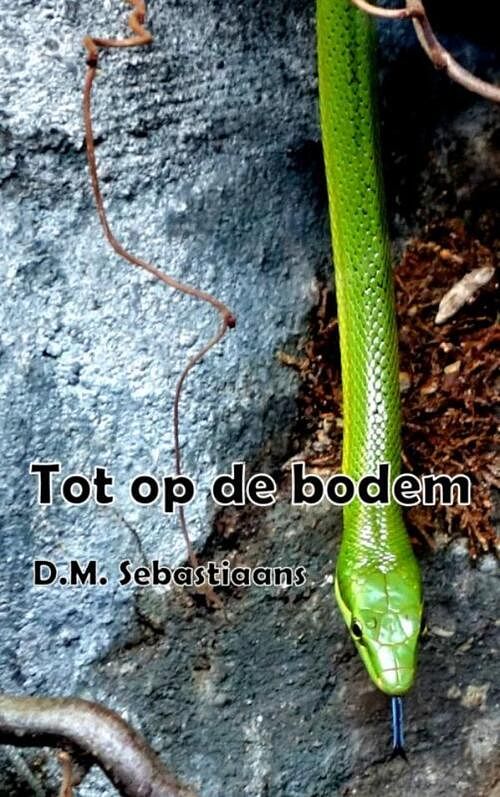 Foto van Tot op de bodem - d.m. sebastiaans - paperback (9789402142358)