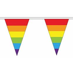Foto van Polyester vlaggenlijnen regenboog vlaggetjes 5 meter - vlaggenlijnen